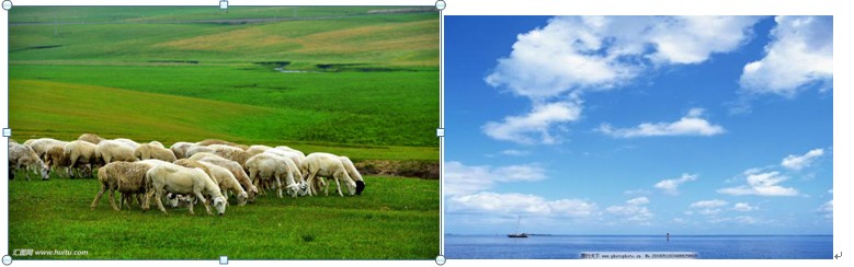 wps复制图片显示不全怎么办（wps放图片进去超过表格框）