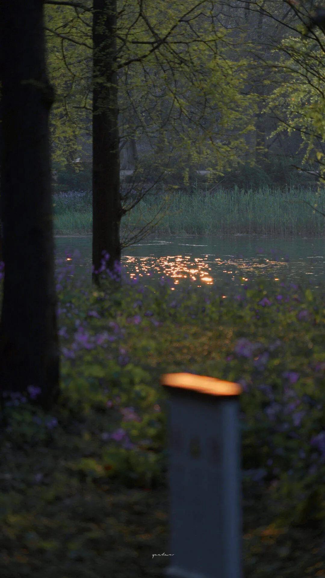 关于光的唯美句子简短（关于光的治愈文案）