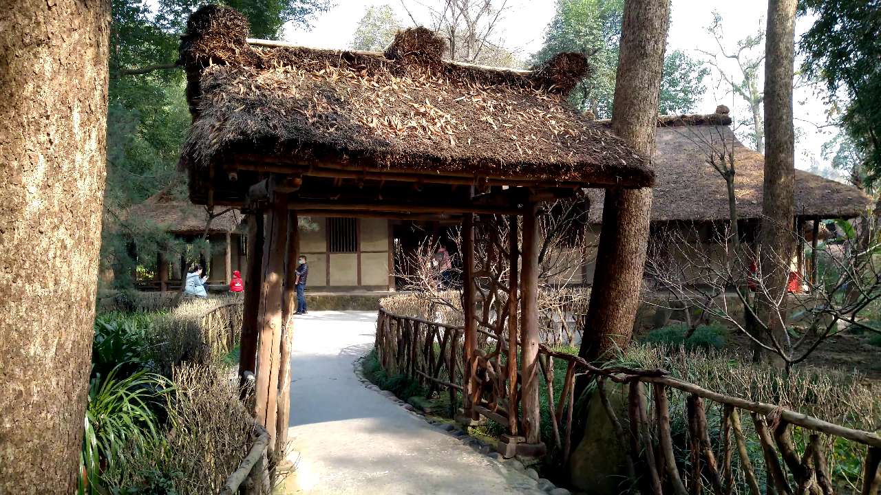 茅屋为秋风所破歌朗诵（茅屋为秋风所破歌原文朗读）