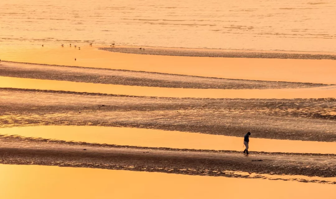 短小意境优美的现代诗（10首优美而短小的现代诗）