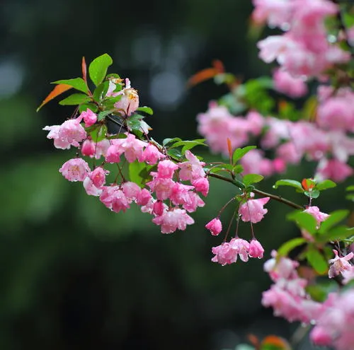 儿童诗句有哪些（儿童诗句古诗大全）