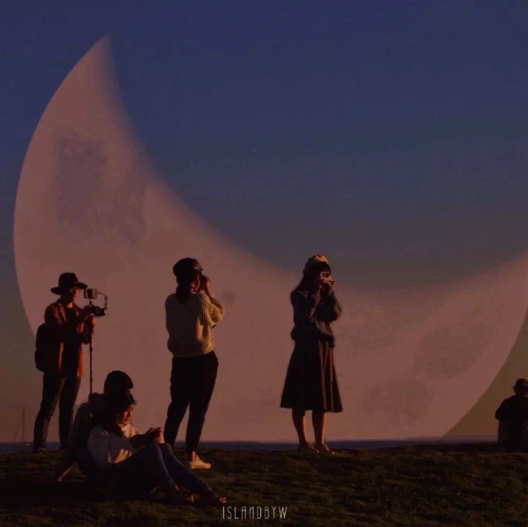 赞美老师的短语和句子（赞美老师的精美短句）