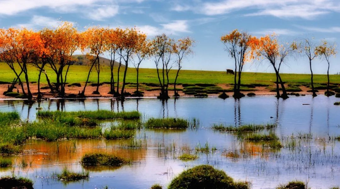 爱国诗歌大全简短（关于爱祖国的诗歌朗诵）