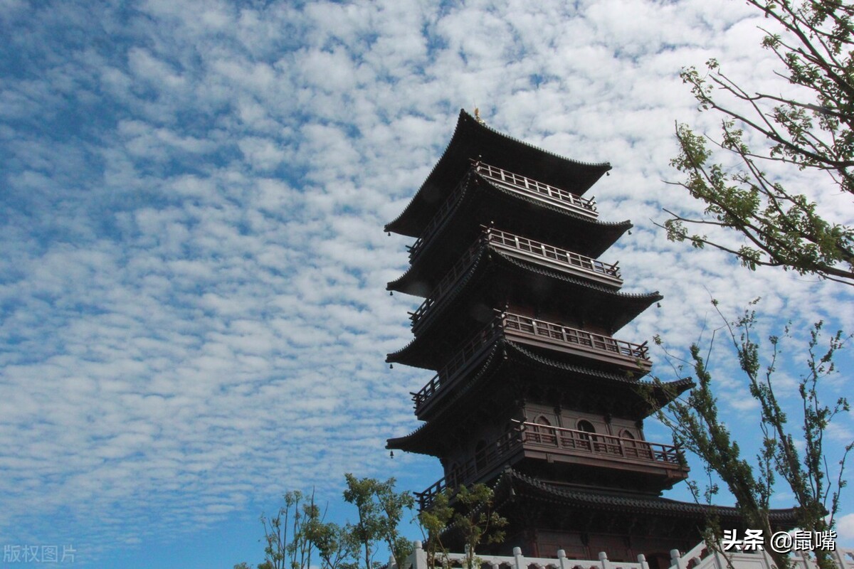 史记商君列传原文及翻译（史记商君列传翻译及注释）