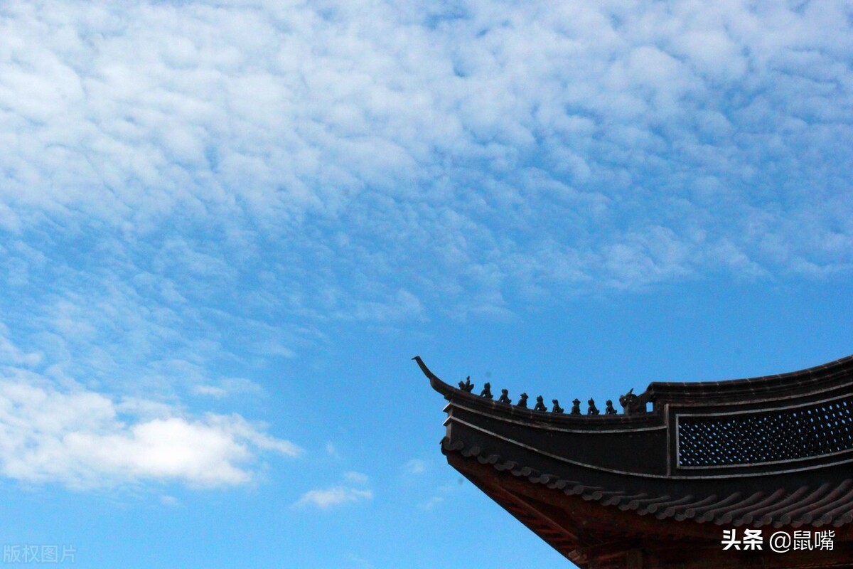 史记商君列传原文及翻译（史记商君列传翻译及注释）