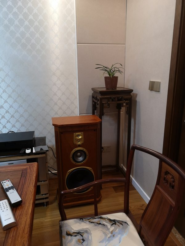 音响和音箱的区别在哪（音响线的规格与选择）