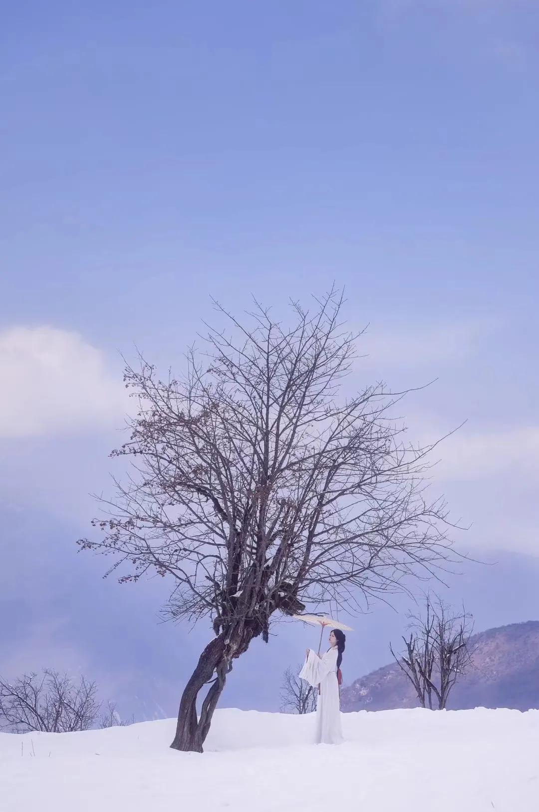 描写天气炎热的环境描写（形容天气热的经典句子）