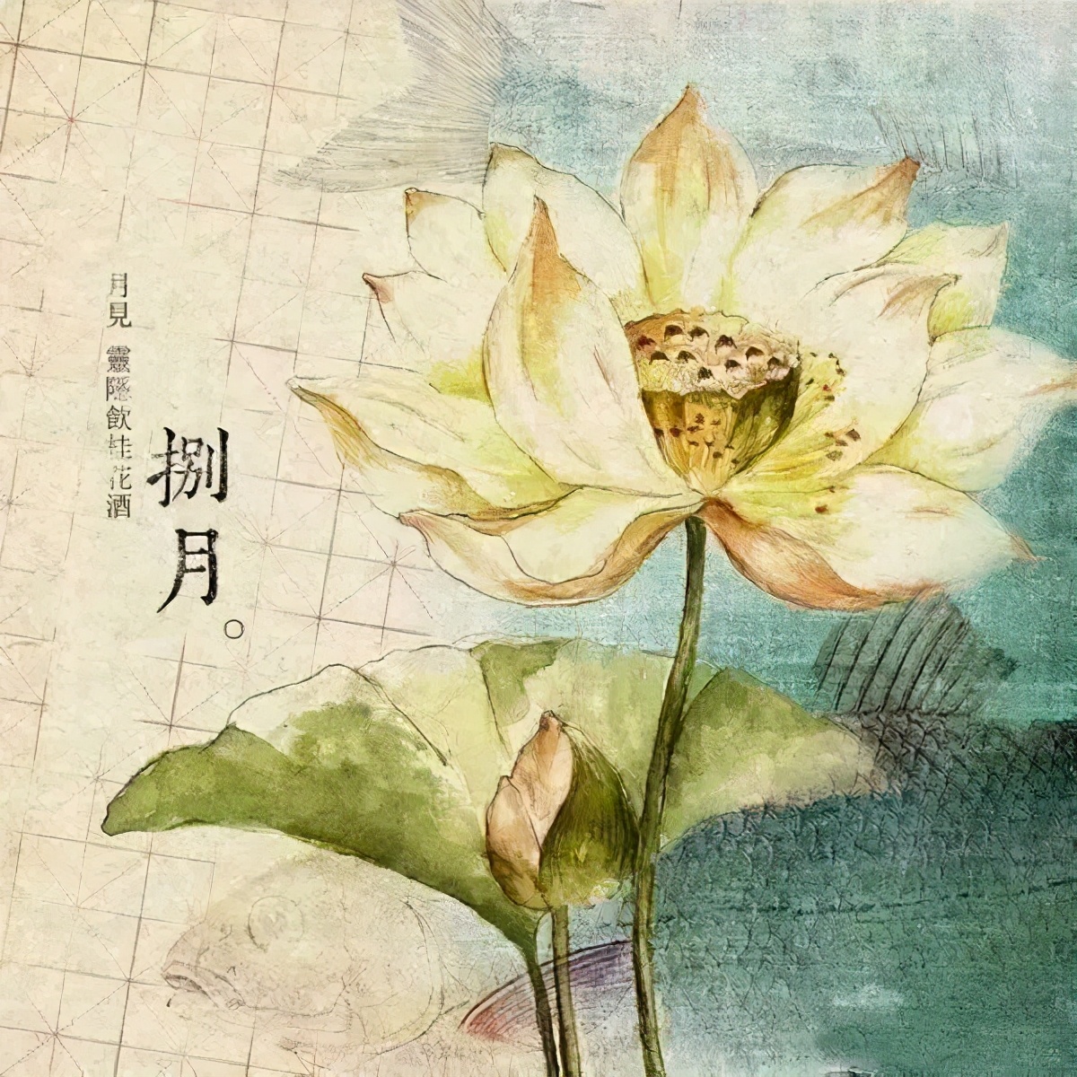 感叹时光流逝的诗句（感叹时光匆匆的古诗）