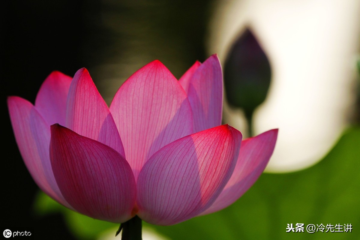 带颜色的成语有哪些（带有表示颜色的成语）