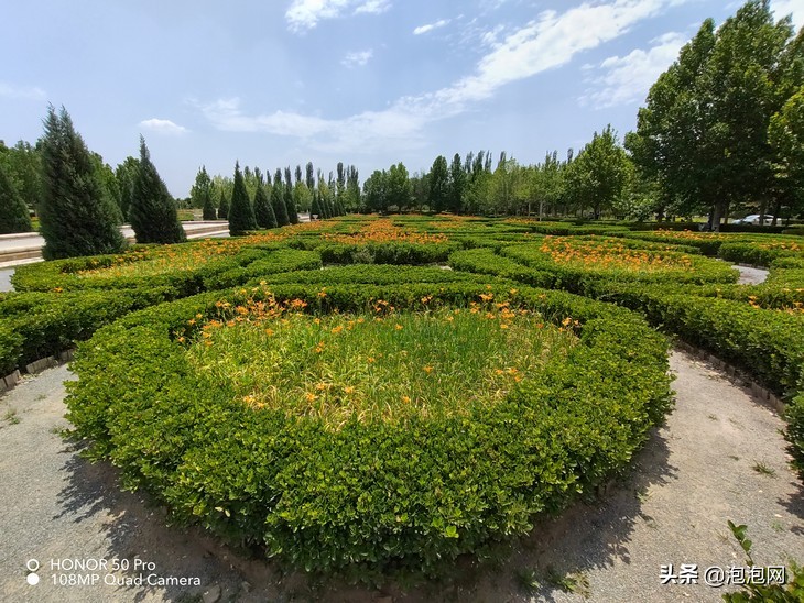 高像素拍照手机排行（像素最高的手机排行榜）