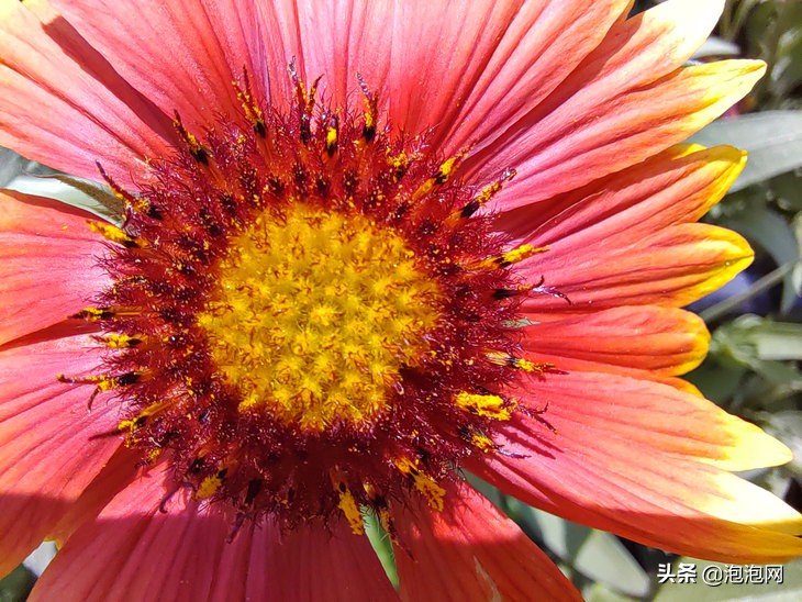 高像素拍照手机排行（像素最高的手机排行榜）