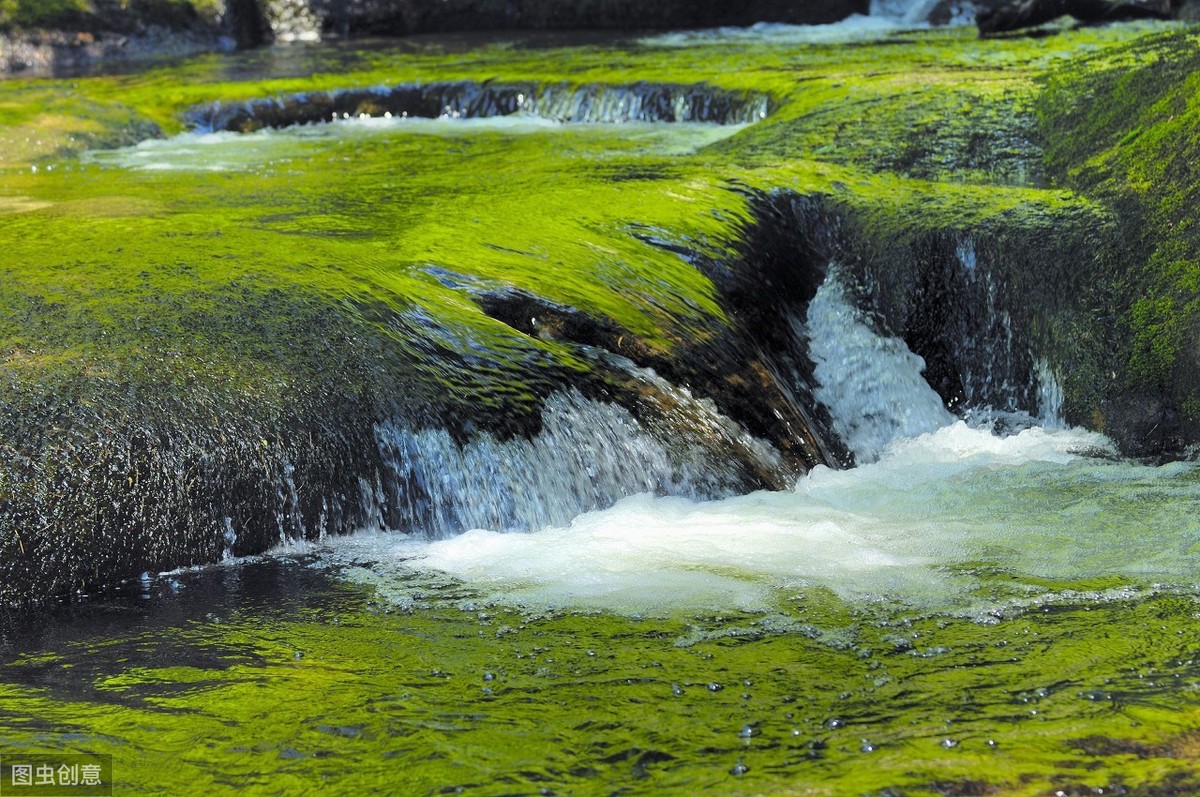 河开头的成语有哪些（以河字开头的成语接龙）