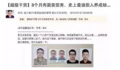 如何搜索种子用户torrentkitty磁性搜索引擎！