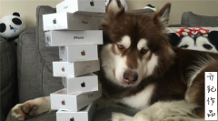 苹果5参数配置详情苹果7苹果8对比！