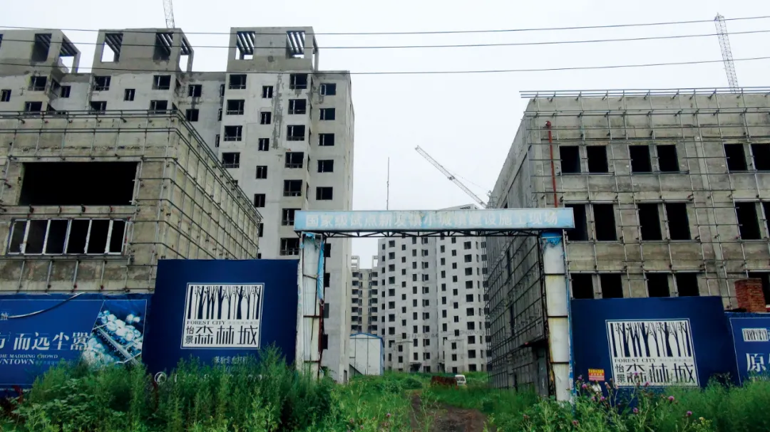 曲婉婷之母案关键同案人回国投案（商人魏奇的回国投案）