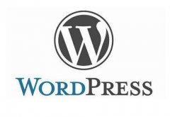 为什么说WordPress主机时最好的选择？