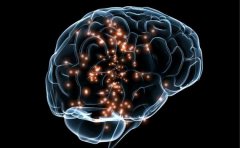 美一项研究表明 大脑过度活动与较短的寿命有关